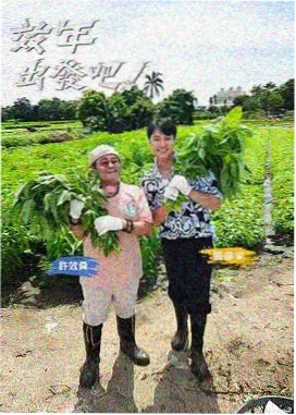 奇虎影视 国产剧出海